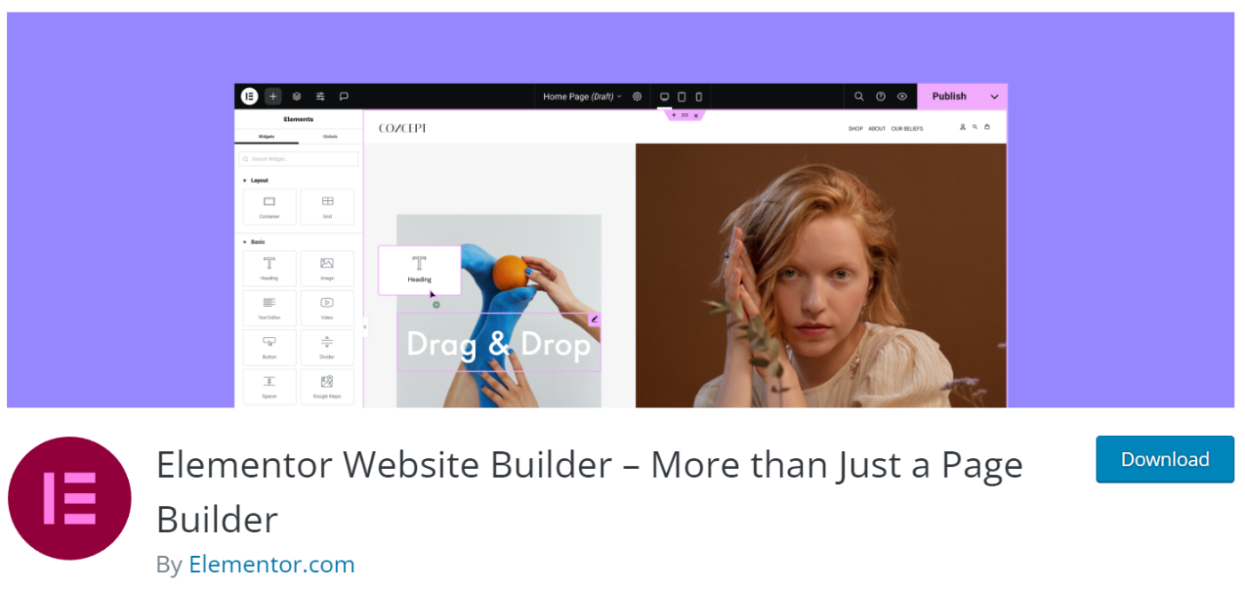 Elementor Page Builder